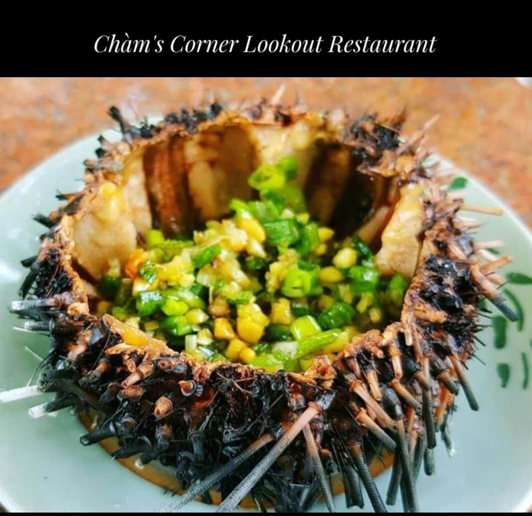 Cham'S Corner Lookout Homestay & Restaurant Tân Hiệ Esterno foto